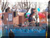 IM000478.JPG (71654 byte)